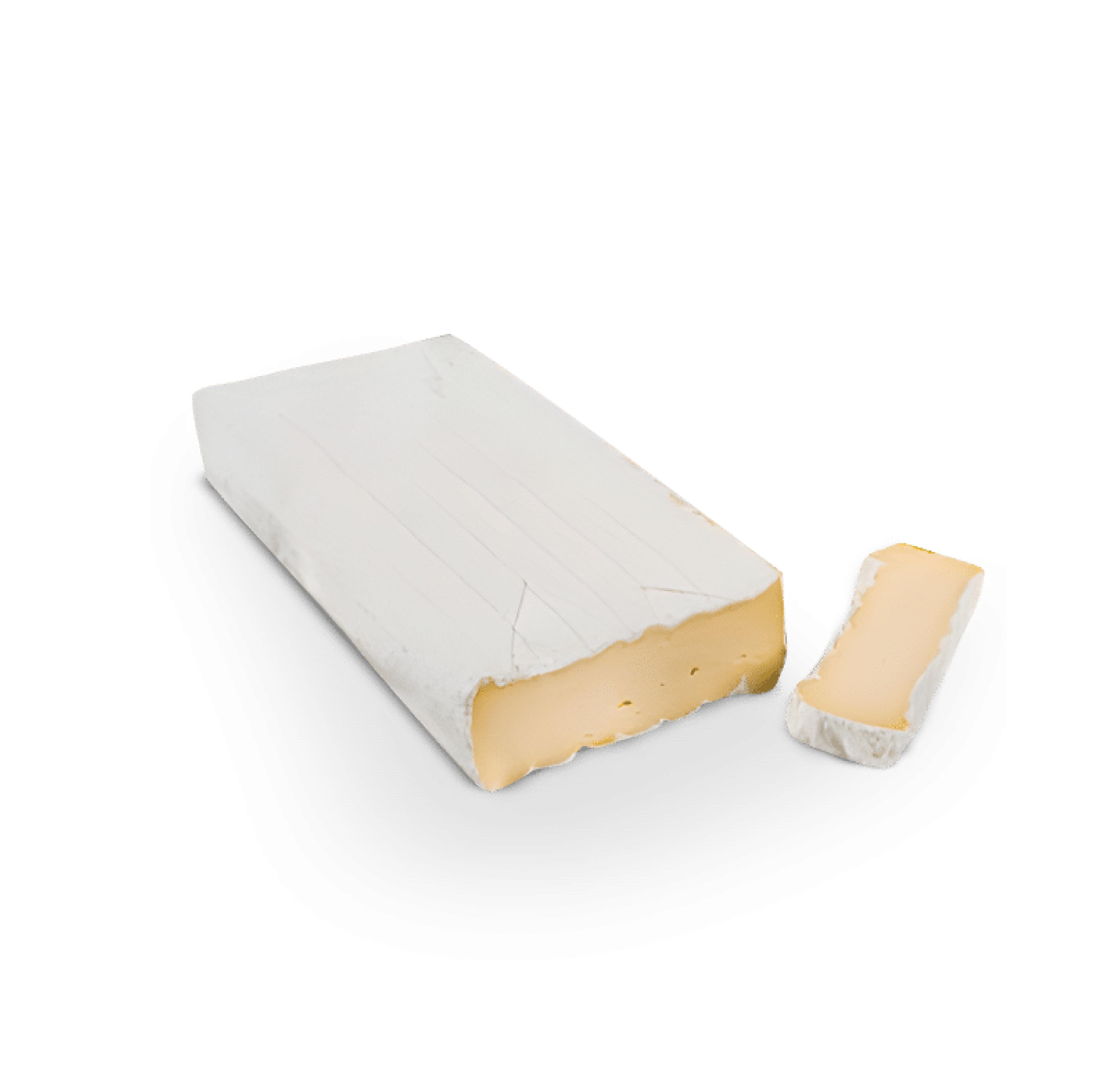 FORM.BRIE LA BRIQUE 1,3 kgx2ud