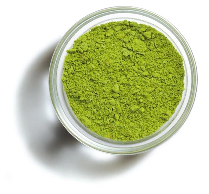 PESTO EN POLVO LIOFILIZADO 1KG