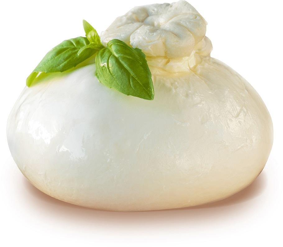 MOZZARELLA FRESCA